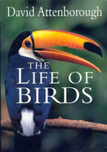life_of_birds